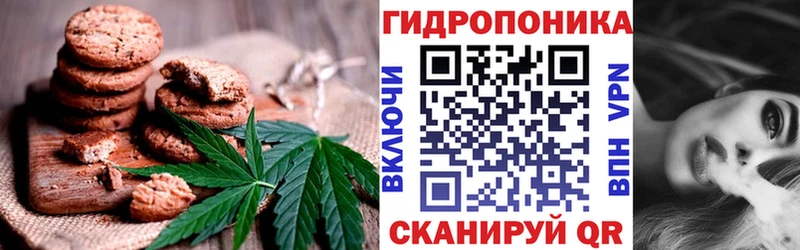 Купить закладки  Дзержинский  Canna-Cookies конопля 