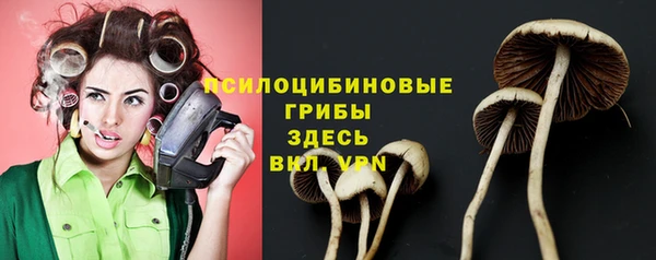 спиды Бугульма